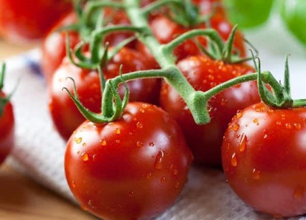 Foto - İşte etkisi kanıtlanmış gelmiş geçmiş en sağlıklı 50 besin