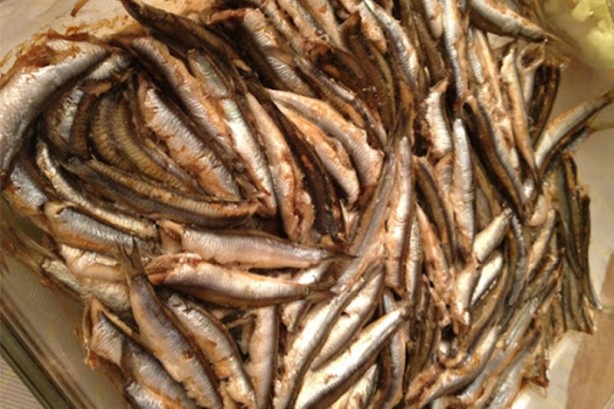 Foto - İşte etkisi kanıtlanmış gelmiş geçmiş en sağlıklı 50 besin