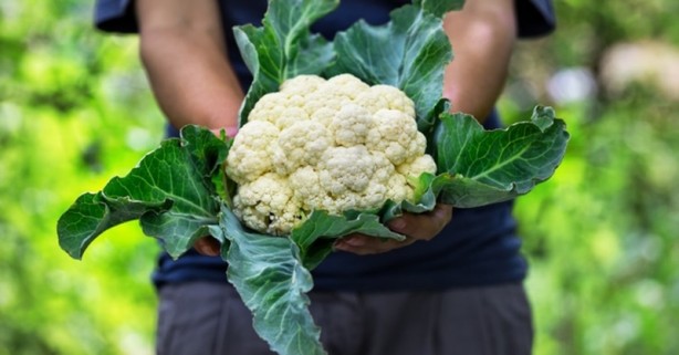 Foto - İşte etkisi kanıtlanmış gelmiş geçmiş en sağlıklı 50 besin