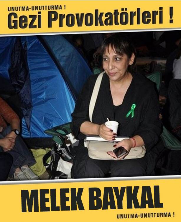 Foto - İşte Gezi kalkışmasının baş provokatörleri