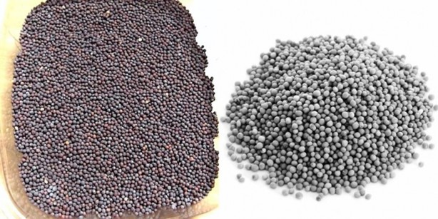 Foto - İşte göbek eriten baharatlar!