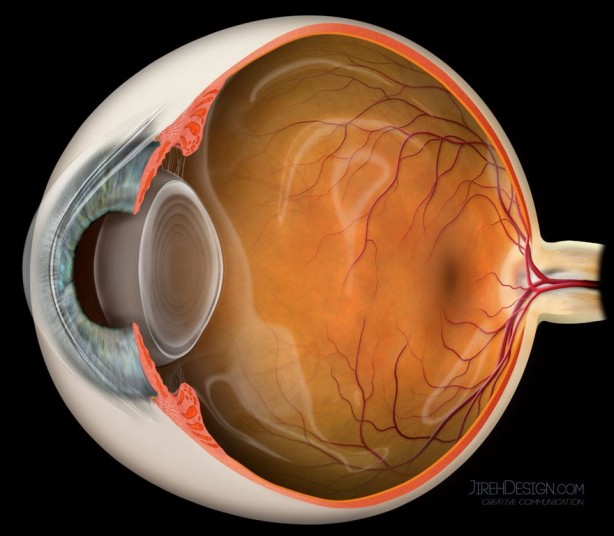 Foto - İşte göz sağlığını korumanın 8 yolu