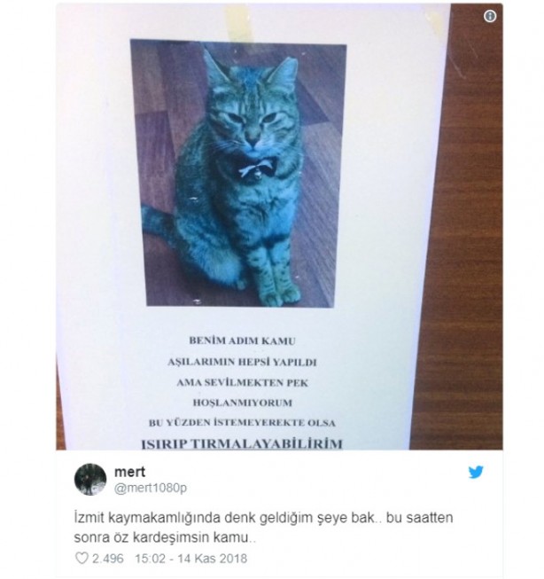 Foto - İşte haftanın en komik tweetleri