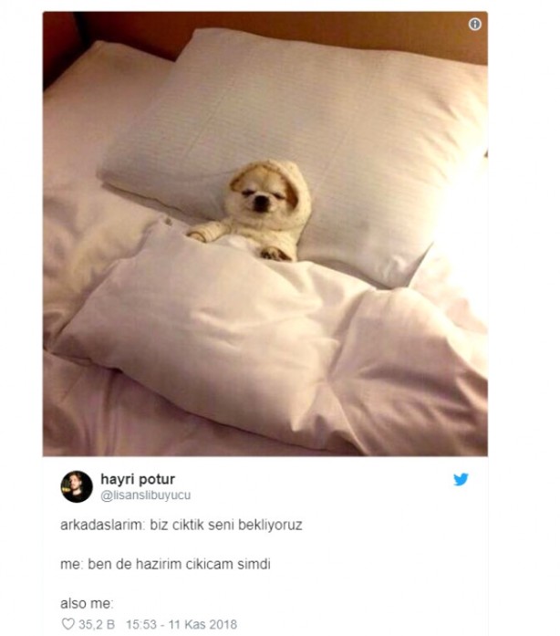 Foto - İşte haftanın en komik tweetleri