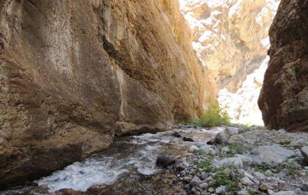 Foto - İşte hain pusuların kurulduğu Dağlıca