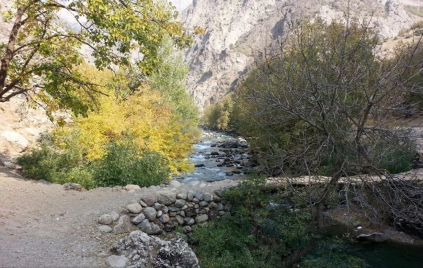 Foto - İşte hain pusuların kurulduğu Dağlıca