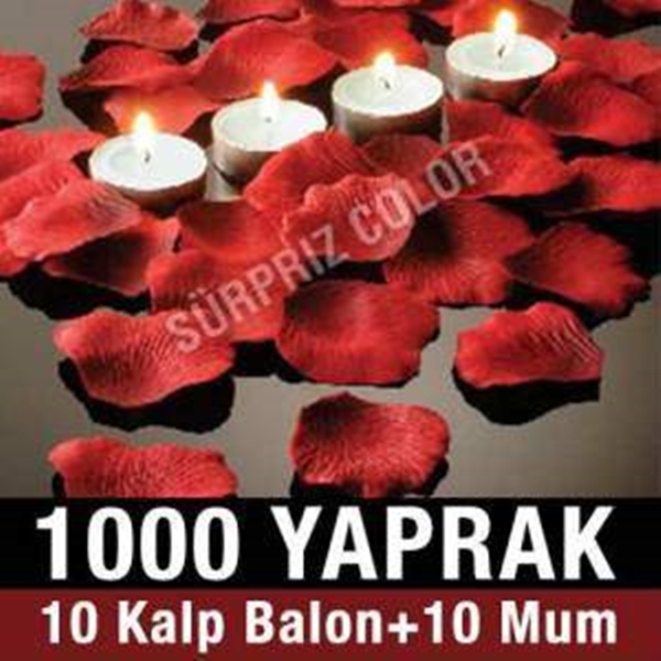 Foto - İşte hainlerin kapatılan basın-yayın organları 