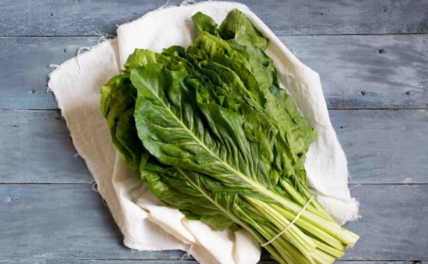 Foto - İşte hastalıklara meydan okuyan besinler! Dünyaya servis ettiler