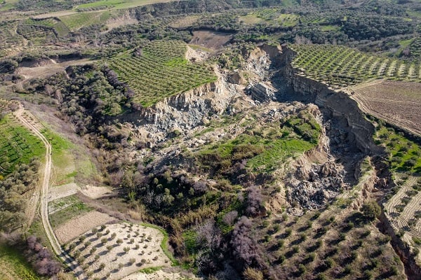 Foto - İşte Hatay’da depremin simgesi zeytinlik