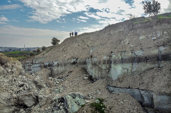 Foto - İşte Hatay’da depremin simgesi zeytinlik