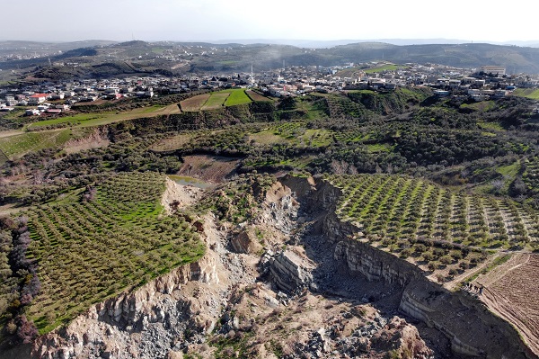 Foto - İşte Hatay’da depremin simgesi zeytinlik
