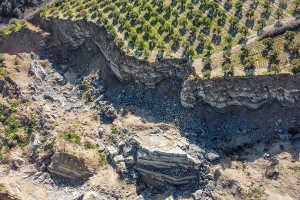 Foto - İşte Hatay’da depremin simgesi zeytinlik