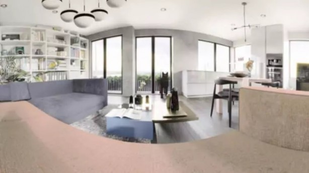 Foto - İşte hayvanlar dünyayı böyle görüyor! 