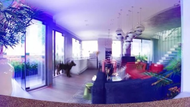 Foto - İşte hayvanlar dünyayı böyle görüyor! 