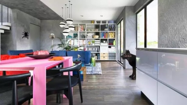 Foto - İşte hayvanlar dünyayı böyle görüyor! 