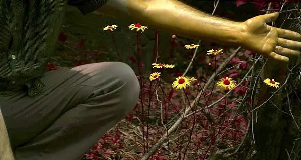 Foto - İşte hayvanlar dünyayı böyle görüyor! 