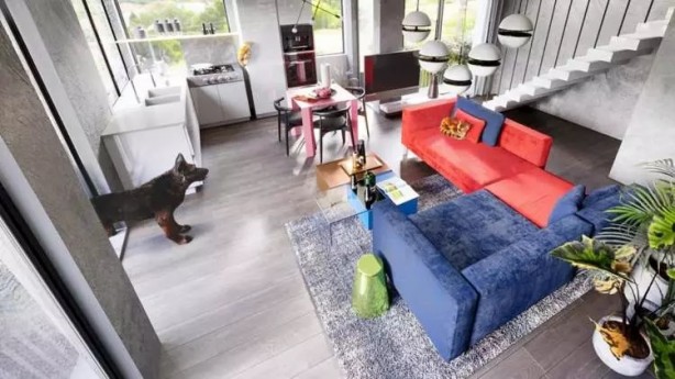 Foto - İşte hayvanlar dünyayı böyle görüyor! 