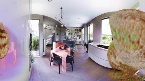 Foto - İşte hayvanlar dünyayı böyle görüyor! 