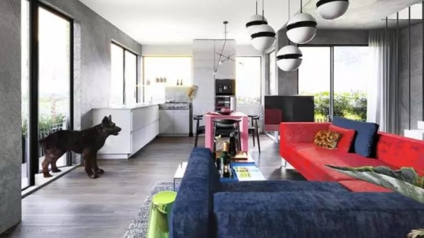 Foto - İşte hayvanlar dünyayı böyle görüyor! 