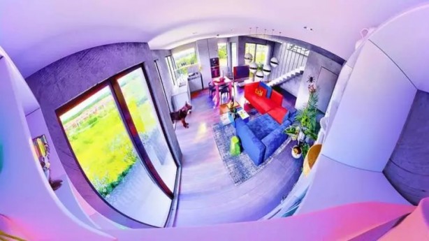 Foto - İşte hayvanlar dünyayı böyle görüyor! 