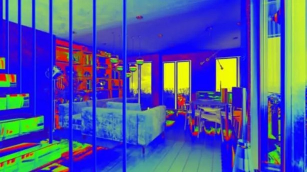 Foto - İşte hayvanlar dünyayı böyle görüyor! 