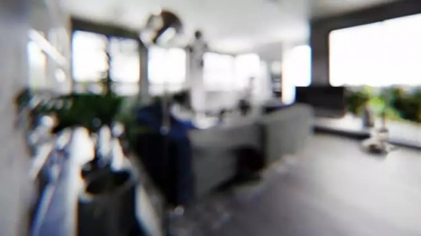 Foto - İşte hayvanlar dünyayı böyle görüyor! 