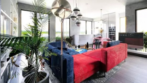 Foto - İşte hayvanlar dünyayı böyle görüyor! 