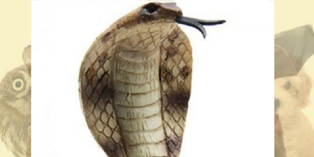 Foto - İşte herkesi şaşırtan kişilik analizi