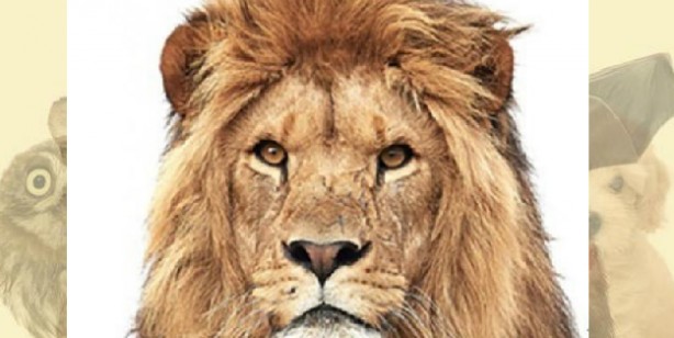 Foto - İşte herkesi şaşırtan kişilik analizi