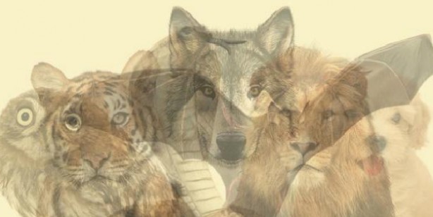 Foto - İşte herkesi şaşırtan kişilik analizi