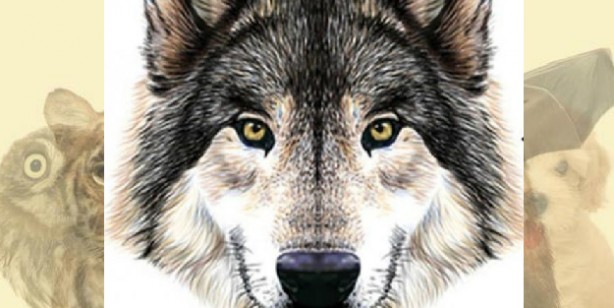 Foto - İşte herkesi şaşırtan kişilik analizi