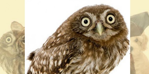 Foto - İşte herkesi şaşırtan kişilik analizi