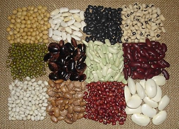 Foto - İşte herkesin merak ettiği soruların cevapları