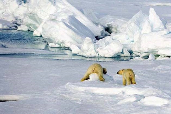 Foto - İşte herkesin merak ettiği soruların cevapları