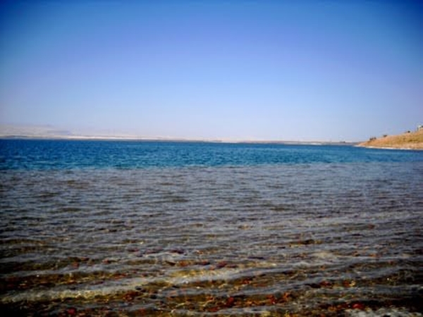 Foto - İşte herkesin merak ettiği soruların cevapları