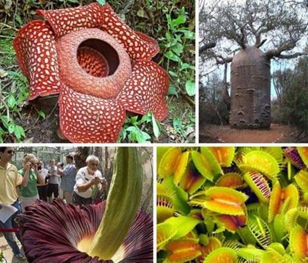 Foto - İşte herkesin merak ettiği soruların cevapları