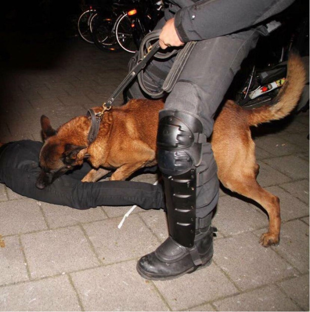 Foto - İşte Hollanda'nın terbiyesizliği sonrasında yaşananlar!