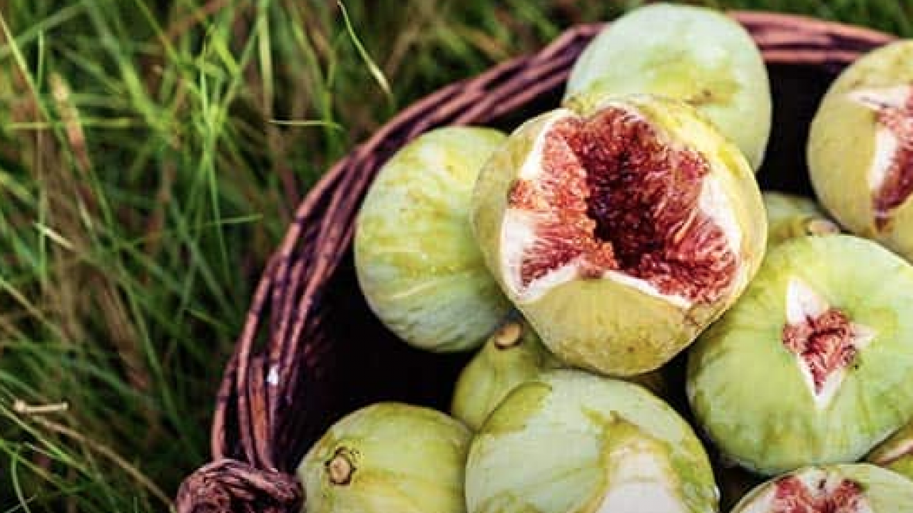 İşte İbn-i Sina'nın en çok övdüğü meyve: Dikkat çeken özellikleri var...