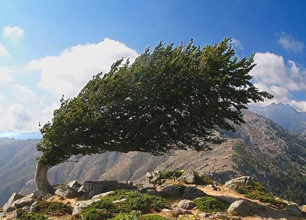 Foto - İşte ilk kez göreceğiniz görüntüler