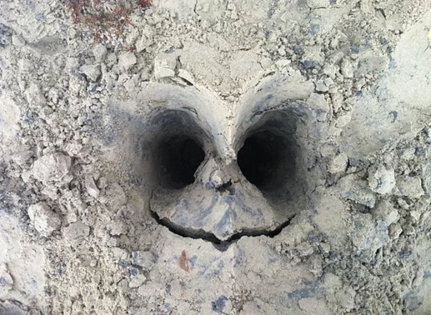 Foto - İşte ilk kez göreceğiniz görüntüler