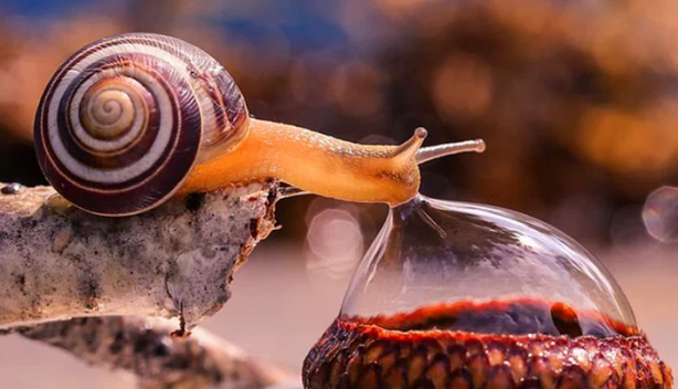 Foto - İşte ilk kez göreceğiniz görüntüler