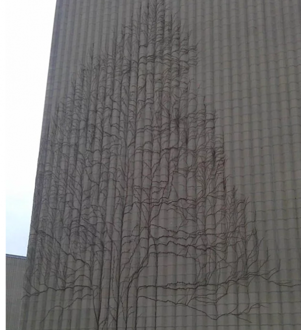 Foto - İşte ilk kez göreceğiniz görüntüler