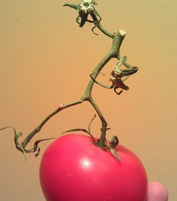 Foto - İşte ilk kez göreceğiniz görüntüler