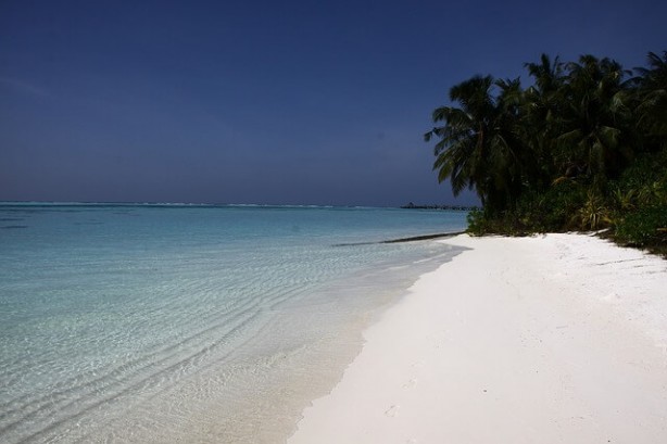 Foto - İşte inanılmaz görüntüler! Küresel ısınmanın vurduğu ülke çareyi bunda buldu