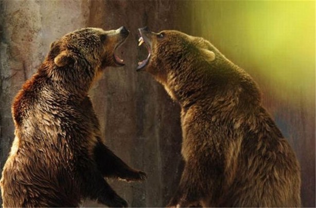 Foto - İşte internetin en çok tıklanan fotoğrafları