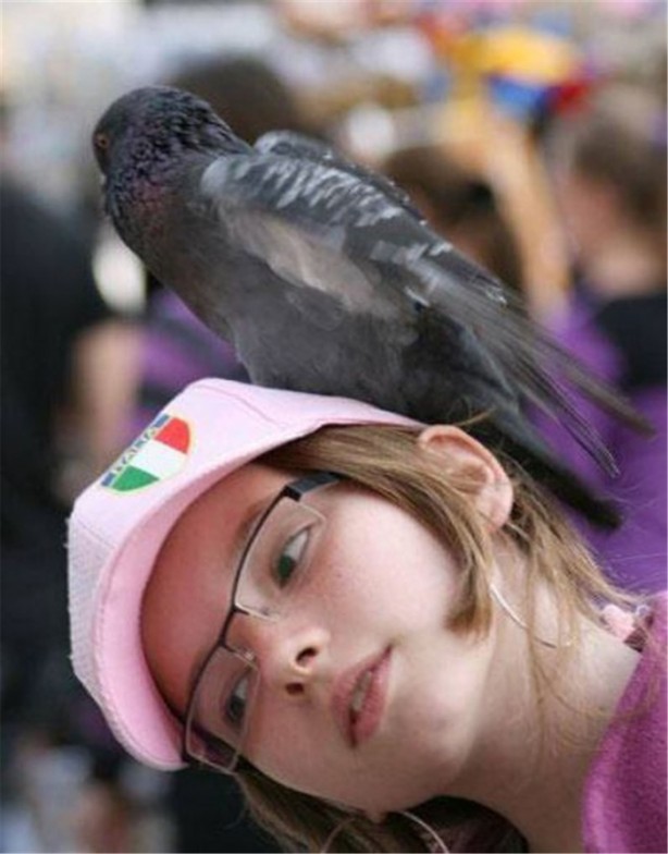 Foto - İşte internetin en çok tıklanan fotoğrafları