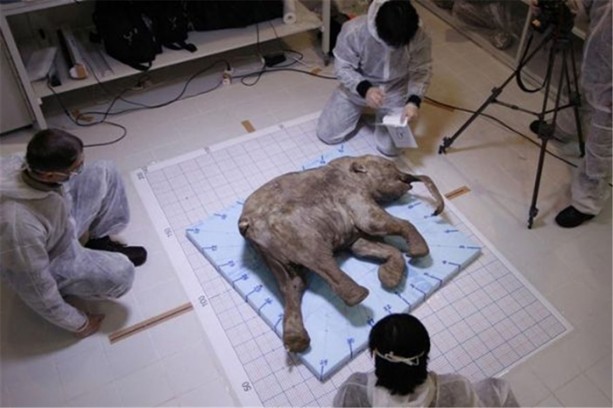 Foto - İşte internetin en çok tıklanan fotoğrafları