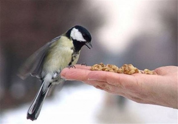 Foto - İşte internetin en çok tıklanan fotoğrafları