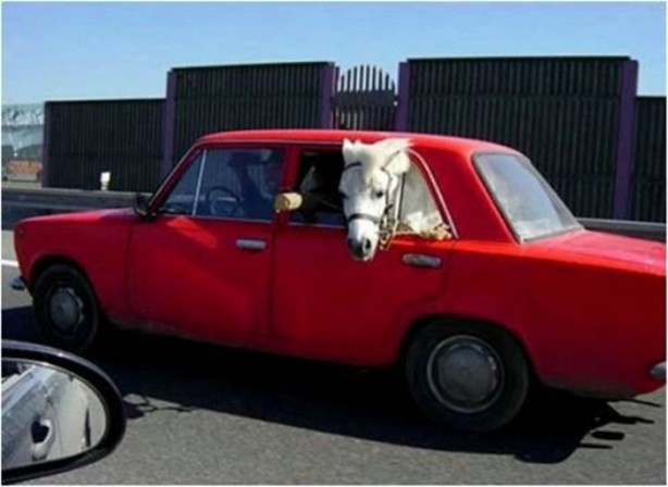 Foto - İşte internetin en çok tıklanan fotoğrafları