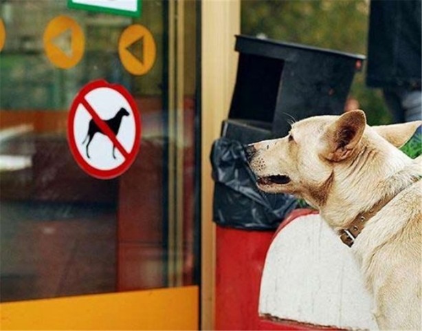 Foto - İşte internetin en çok tıklanan fotoğrafları